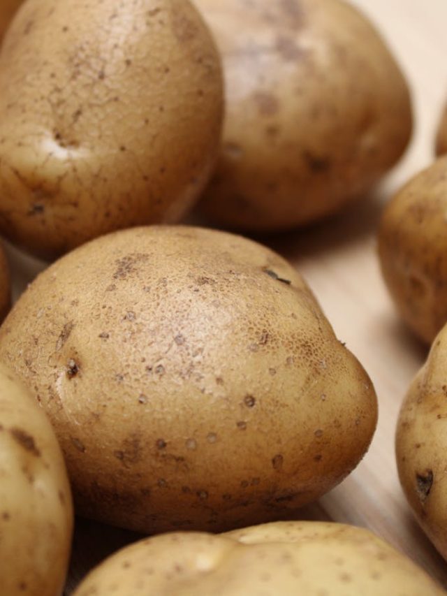 आलू के साथ कभी न उगाएं ये 3 पौधे, घट सकती है पैदावार