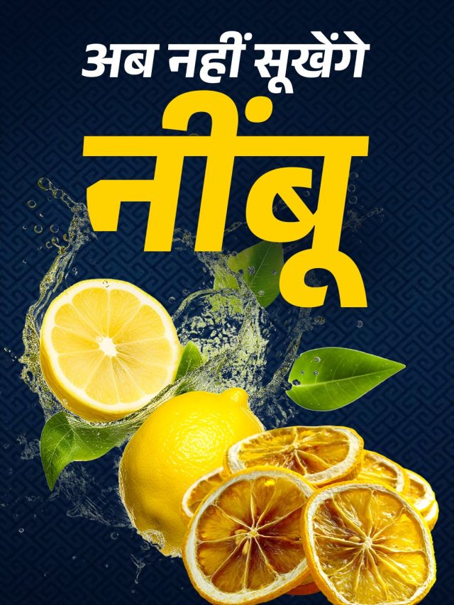 2–3 दिन में सूखकर खराब हो जाते हैं नींबू? ये 5 ट्रिक्स गर्मियों में रखेंगी हफ्तों तक फ्रेश
