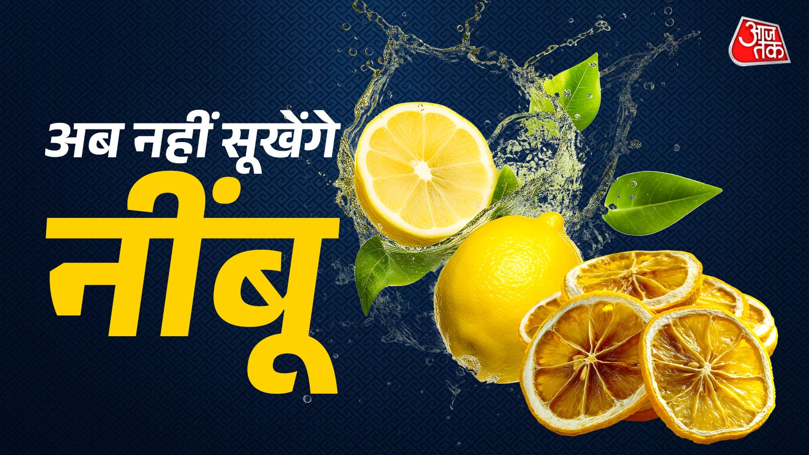 2–3 दिन में सूखकर खराब हो जाते हैं नींबू? ये 5 ट्रिक्स गर्मियों में रखेंगी हफ्तों तक फ्रेश