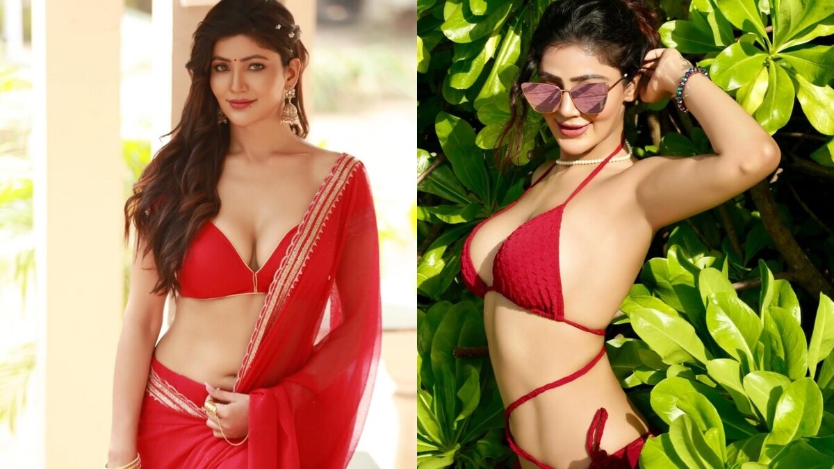 कातिलना अदाओं से तहलका मचा रही एक्ट्रेस, शोबिज छोड़ चुनी थी आध्यात्म की राह