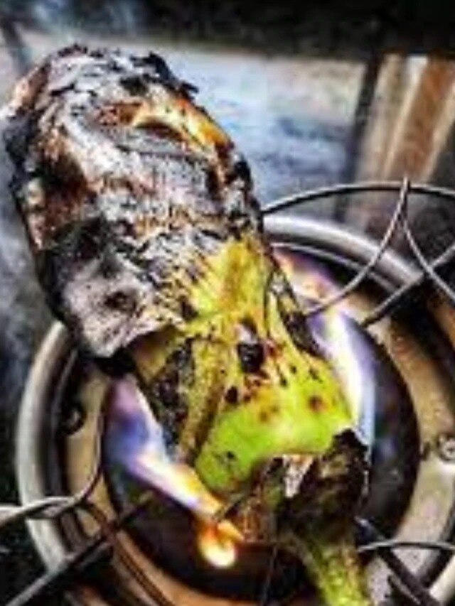 বেগুন পোড়ার স্বাদ বাড়ায় এই জিনিসগুলো, জেনে নিন