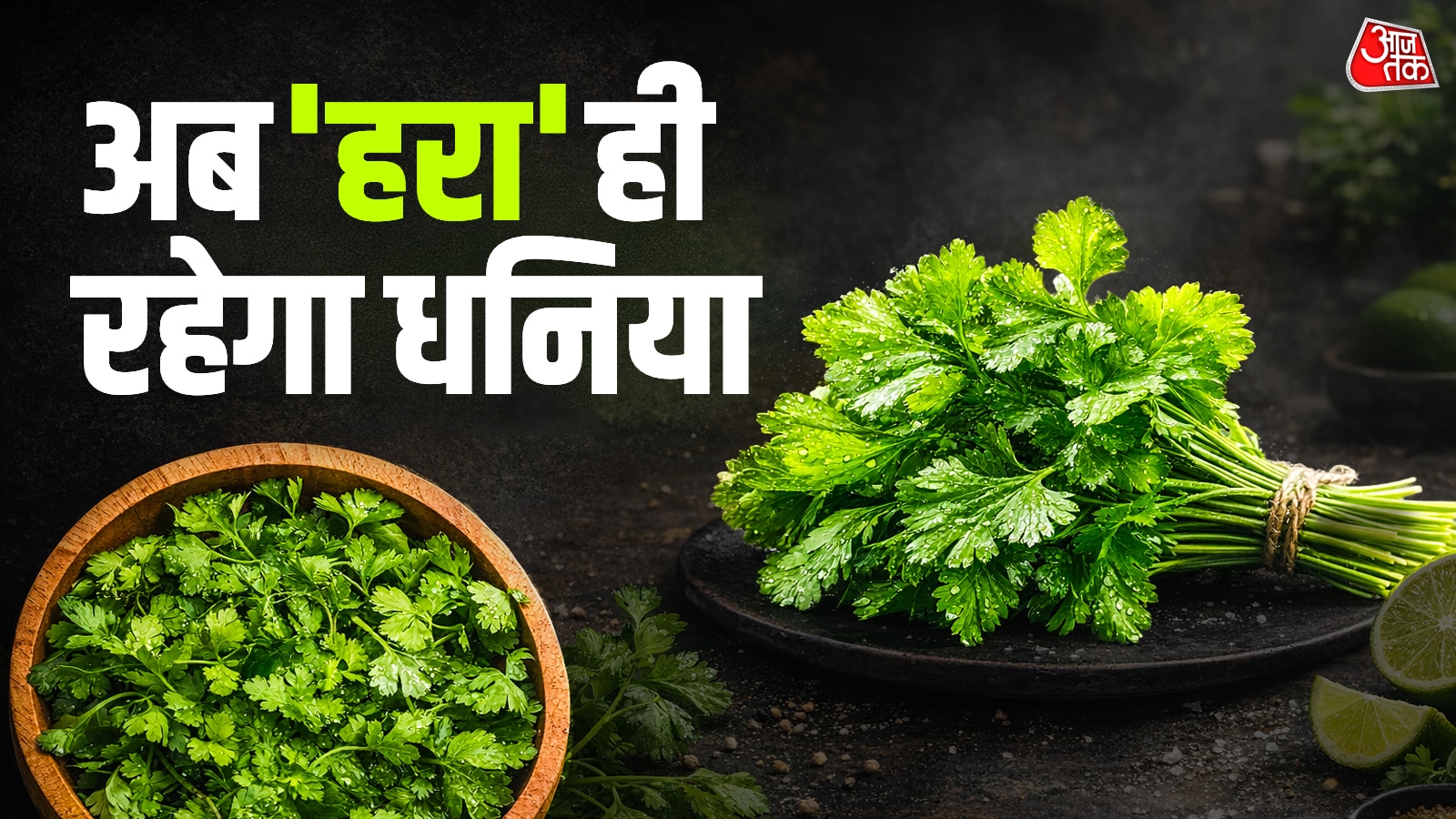 ना गलेगा, ना सूखेगा...हरा धनिया ऐसे रहेगा हफ्तों तक ताजा 