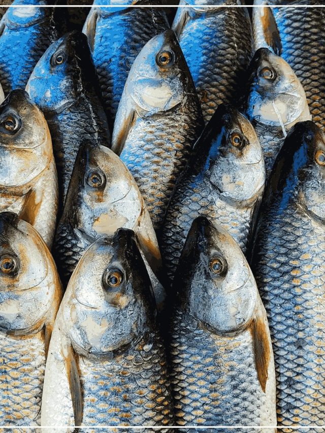 মাছের আঁশটে গন্ধে আর নাকাল হবেন না, সহজ টোটকা জেনে নিন