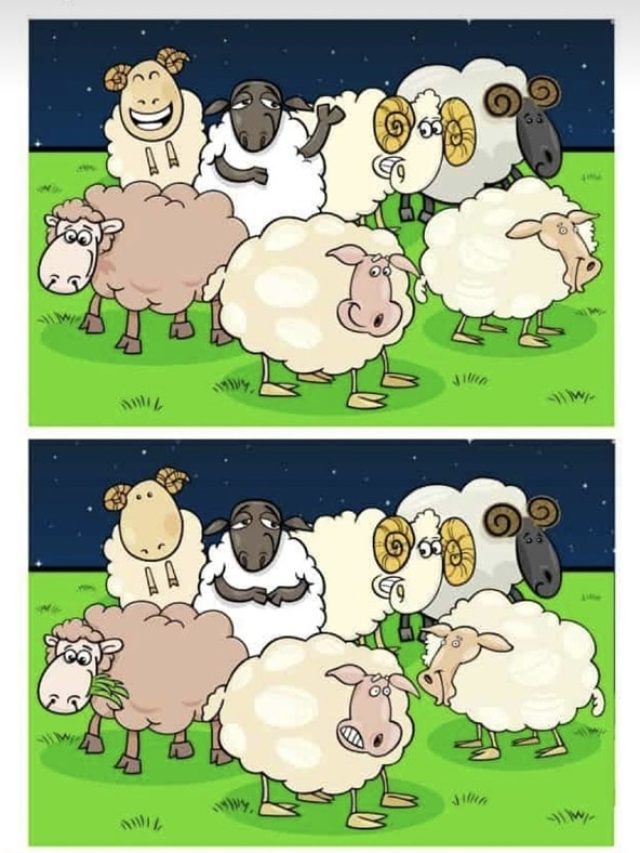 तस्वीर में 5 गलतियां खोज पाएंगे आप, 10 सेकंड का चैलेंज