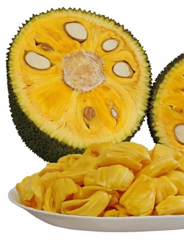 কাঁঠাল ফল না সবজি? ৯৯ শতাংশ মানুষের অজানা