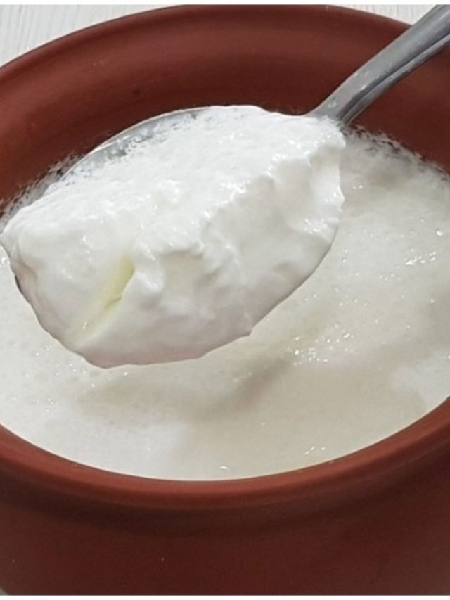 টক দই শরীরের জন্য় উপকারী, তবে এই ৫ জিনিসেই সঙ্গে খেলেই ভয়ঙ্কর ক্ষতি