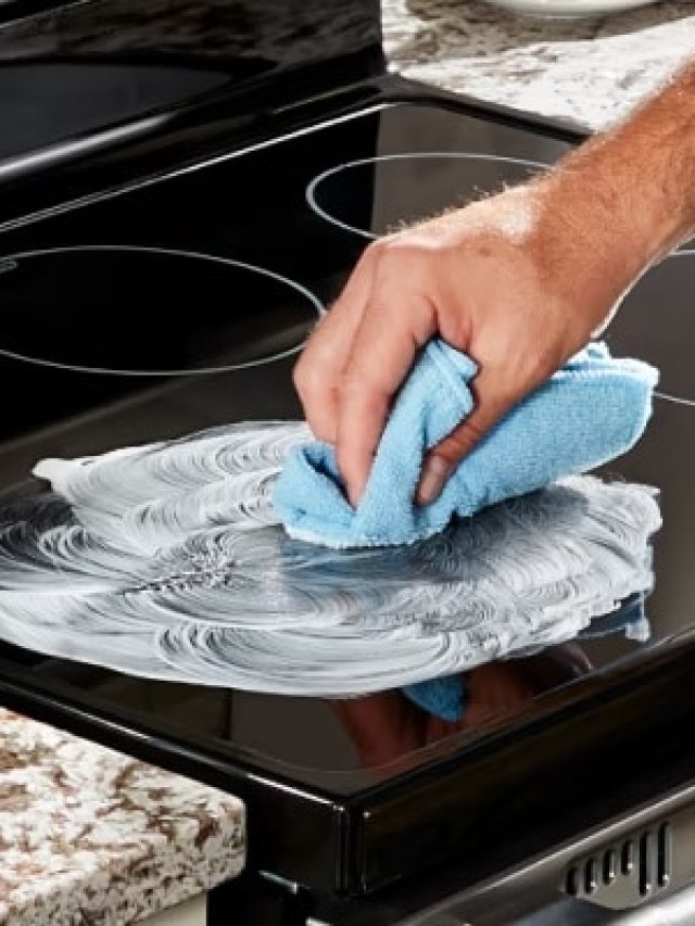 LPG संकट में खरीदा इलेक्ट्रिक चूल्हा, एक गलती से हो सकता है खराब!