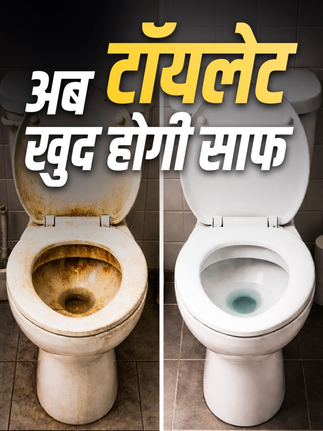 ब्रश रगड़ने की नहीं पड़ेगी जरूरत! फ्लश टैंक में डालें ये चीज, मिनटों में साफ होगी टॉयलेट सीट
