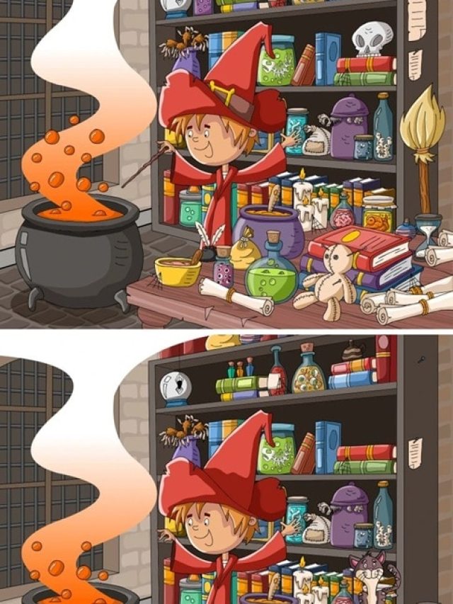 पेंटर ने तस्वीर में कर दी हैं 6 गलतियां, 10 सेकंड में खोजने का चैलेंज