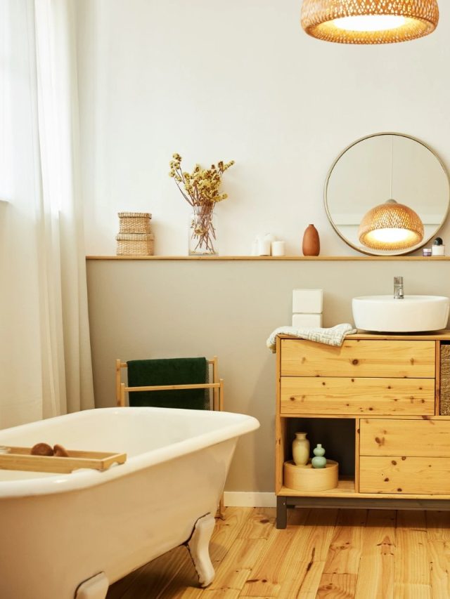 বাথরুম থেকে দূর হবে দুর্গন্ধ, লাগবে শুধু ২ টাকার এই জিনিস