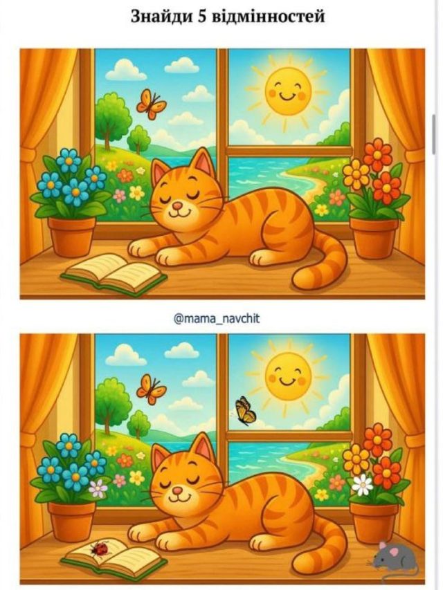 पेंटर ने तस्वीर में कर दी हैं 5 गलतियां, 10 सेकंड का चैलेंज