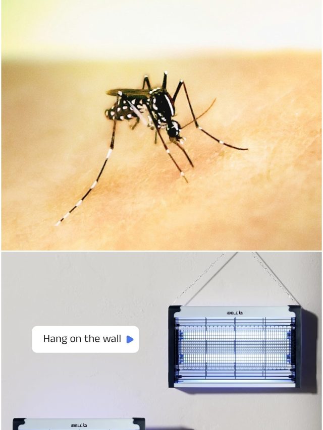 घर से मक्खी, मच्छर आदि को दूर रखेंगे ये गैजेट, कीमत 299 से शुरू