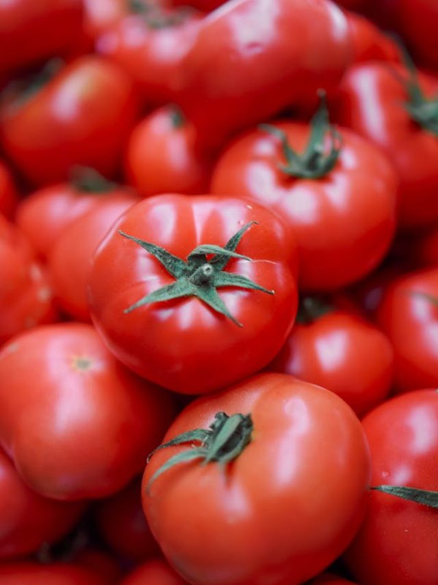 টমেটোর এই অংশে বিষ, পেটে গেলেই ধীরে ধীরে শরীর শেষ