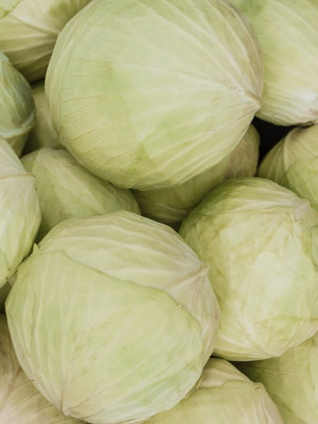 ছুরি-বটি ছাড়াই ঝটপট কাটুন  বাঁধাকপি, নিনজা টেকনিক শিখে রাখুন