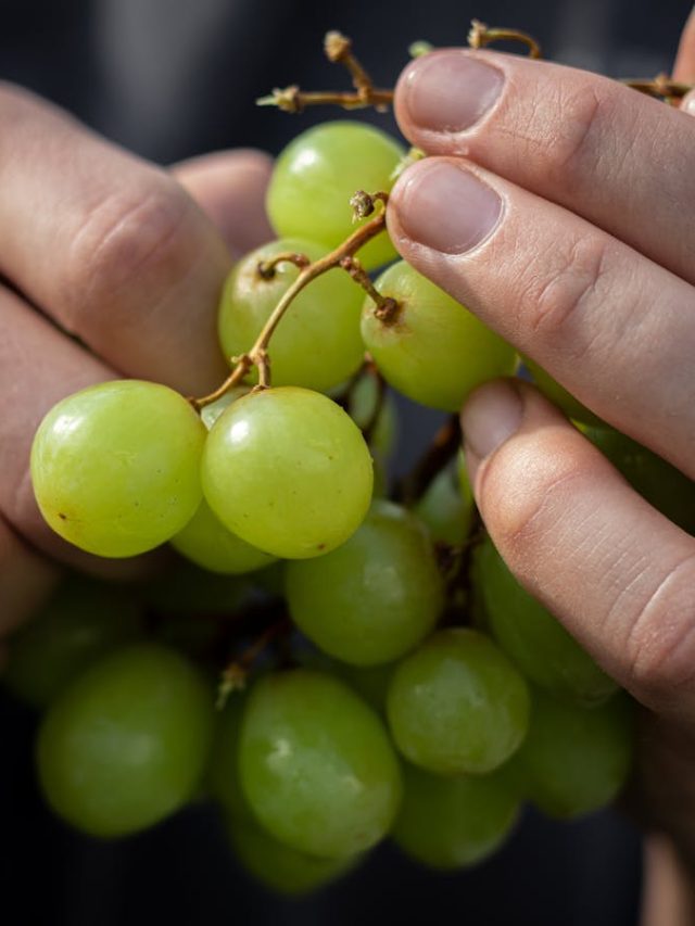 খালি ধুলে হবে না, বাজারের আঙুর এভাবে করুন  রাসায়নিকমুক্ত