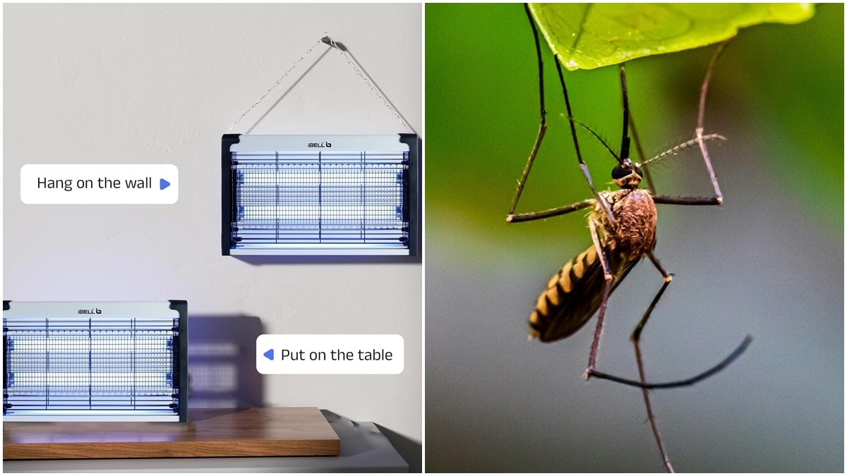घर से मक्खी, मच्छर आदि को दूर रखेंगे ये गैजेट, कीमत 299 से शुरू