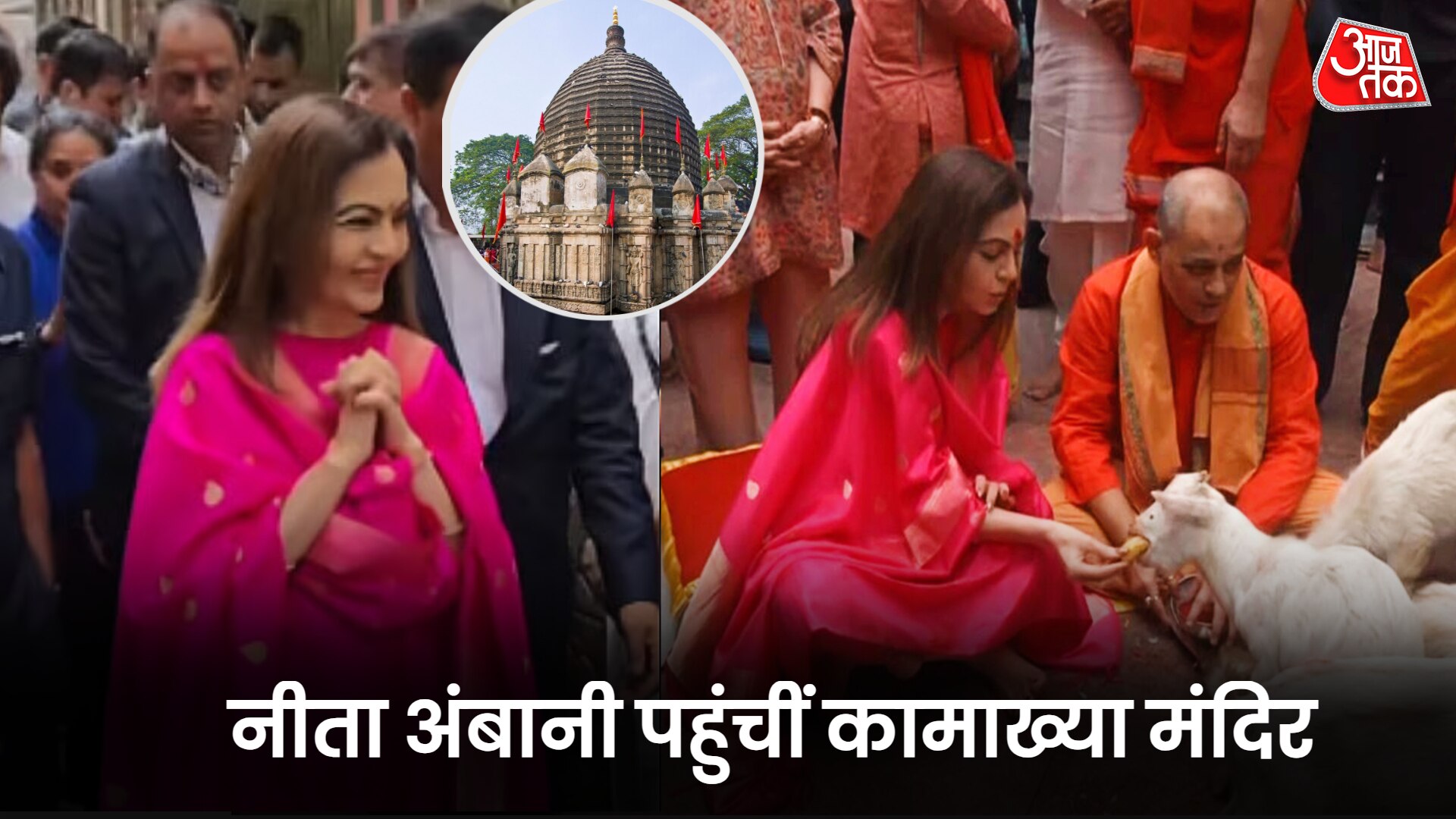 नीता अंबानी ने कामाख्या मंदिर में जमीन पर बैठ की पूजा, गुलाबी सूट में दिखा रॉयल लुक