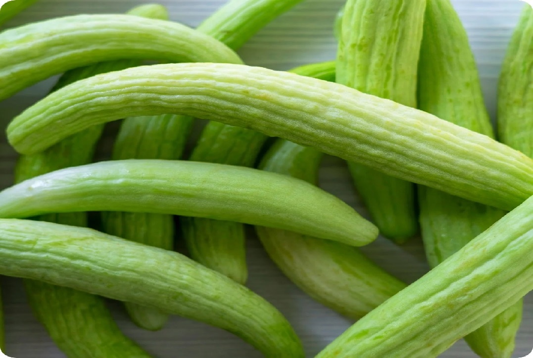 गर्मी में ककड़ी की खेती करें किसान, 90 दिन में होगी बंपर कमाई