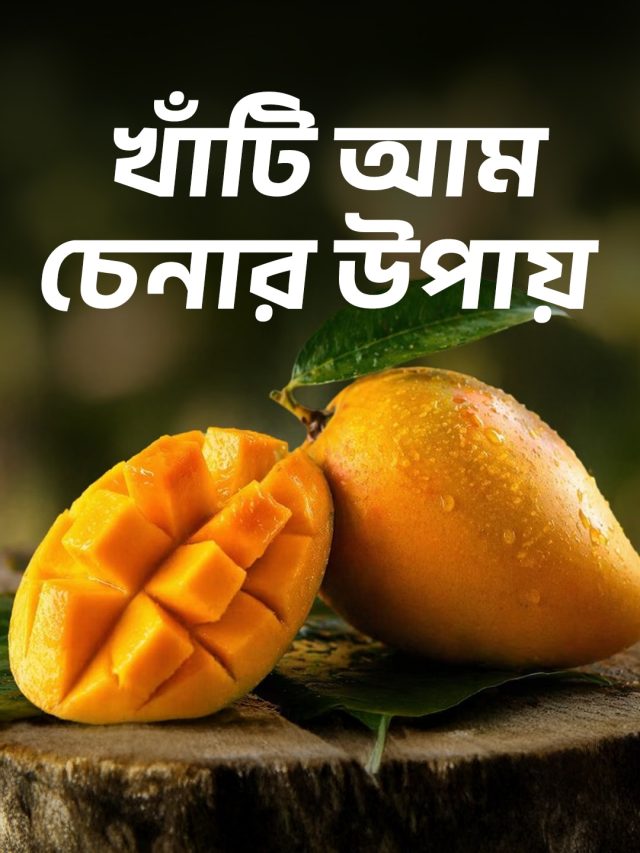 কার্বাইড, ফরমালিন মেশানো নাকি গাছপাকা? খাঁটি আম চেনার কায়দা