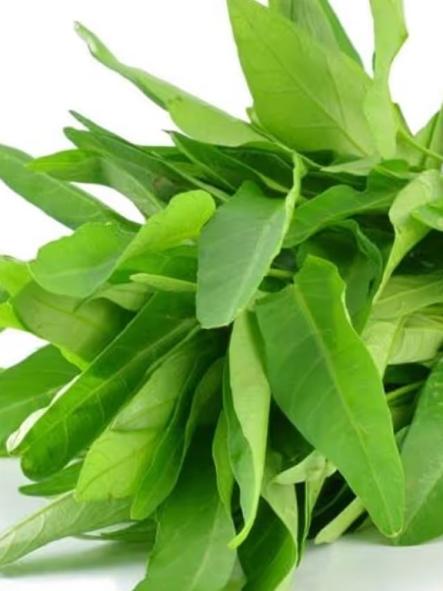 কোন শাক খেলে গায়েব হয়ে যাবে সুগার, জানা আছে?