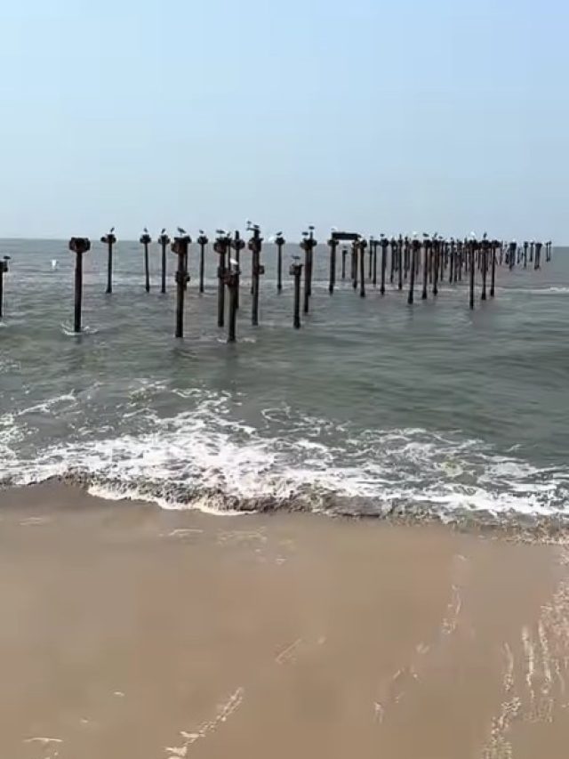 समुद्र के बीच ये खंभे क्यों गाड़े गए? असली वजह जानकर दिमाग हिल जाएगा!