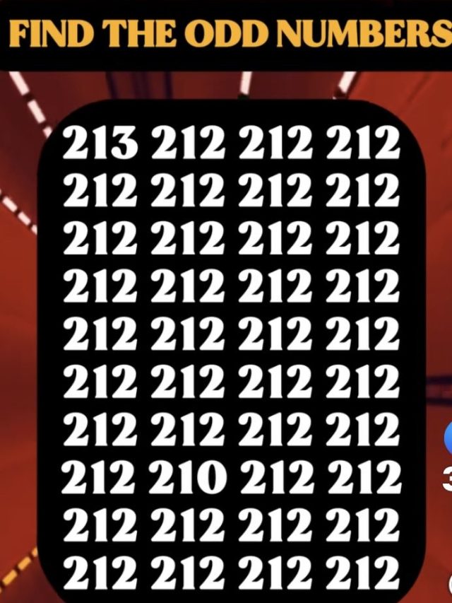 तस्वीर में छिपे 210 को खोज पाएंगे आप, 10 सेकंड का चैलेंज