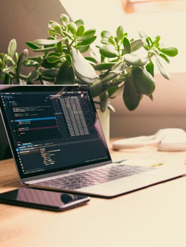 অফিস ডেস্কে কোন গাছ রাখবেন?