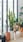 कमरे को ठंडा रखते हैं ये पौधे, घर में लगाएं ये 4 Indoor Plants