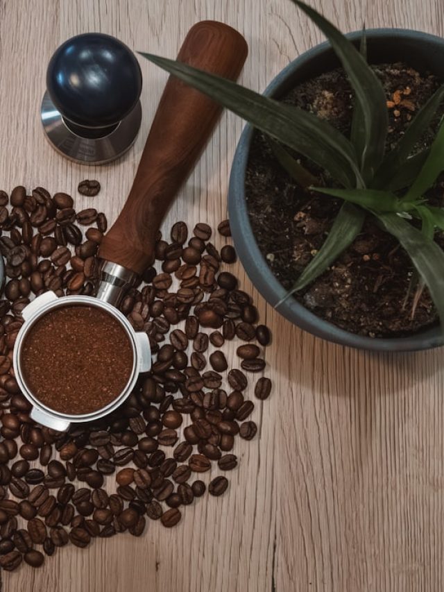 बचे हुए कॉफी ग्राउंड्स से बगीचे को बनाएं हरा-भरा, ऐसे करें इस्तेमाल