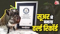 इस सूअर के इंस्टाग्राम पर हैं 11 लाख फॉलोअर्स... इतना फेमस कि बना वर्ल्ड रिकॉर्ड! इस सूअर के इंस्टाग्राम पर हैं 11 लाख फॉलोअर्स... इतना फेमस कि बना वर्ल्ड रिकॉर्ड!