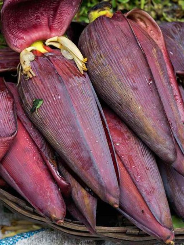 মোচা কাটা এখন জলভাত, সহজ উপায়টা জেনে নিন