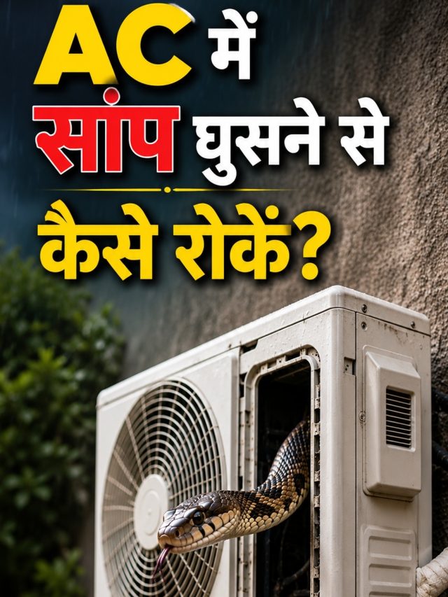 AC से निकला सांप, भूलकर भी ना करें ये गलती