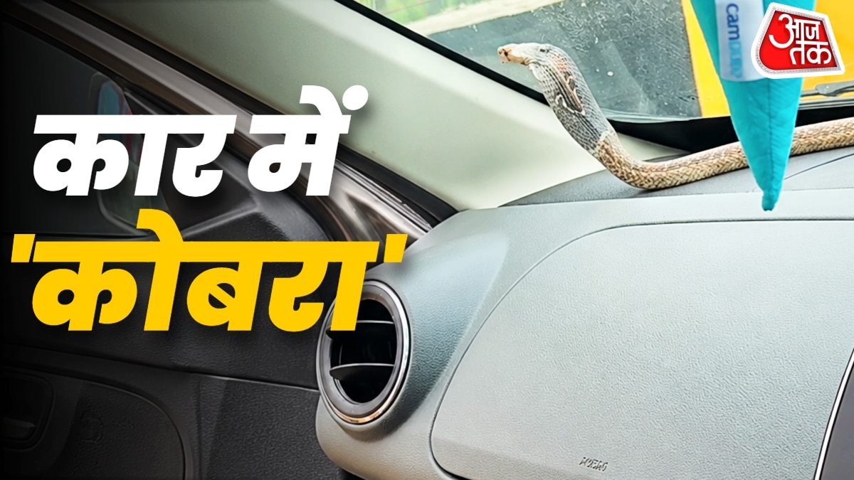 चलती गाड़ी में 'कोबरा'! इस वजह से कार में घुसते हैं सांप