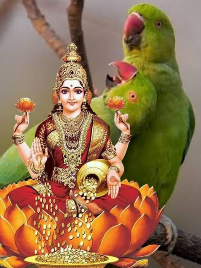 এই ৫ পশু ও পাখি বাড়িতে আসা খুব শুভ, লক্ষ্মীলাভের যোগ