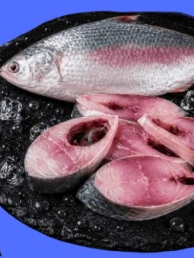 ইলিশ ডিম ভর্তি কি না বুঝবেন কীভাবে? রইল ৫ টিপস