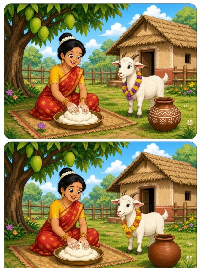 तस्वीर में 5 गलतियां खोज पाएंगे आप, 10 सेकंड का चैलेंज