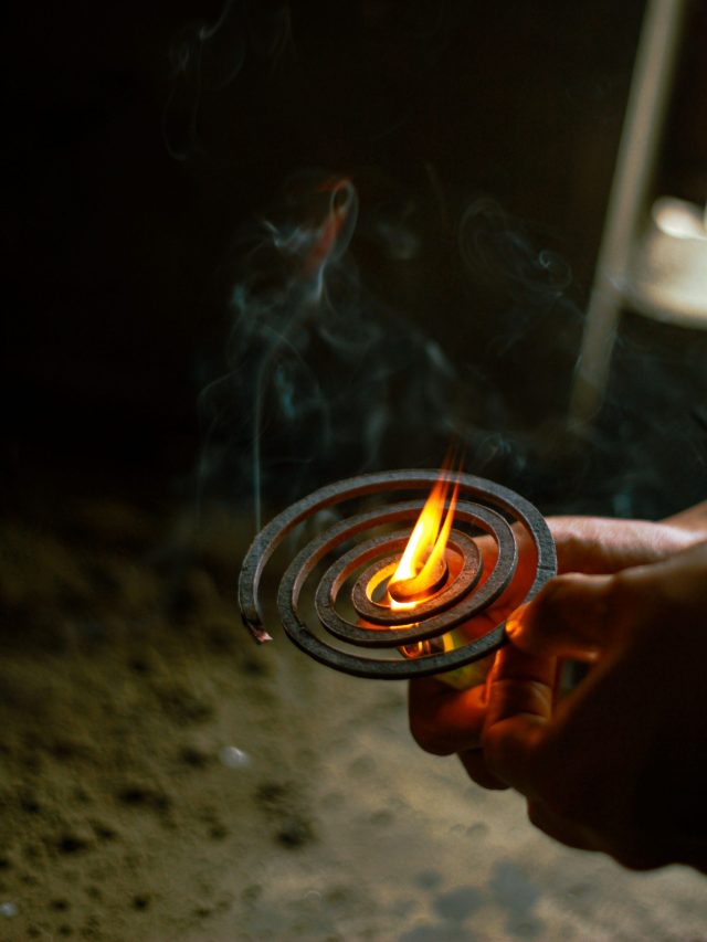 মশা মারার কয়েল ধরান? বিপদ কোথায় বুঝে নিন