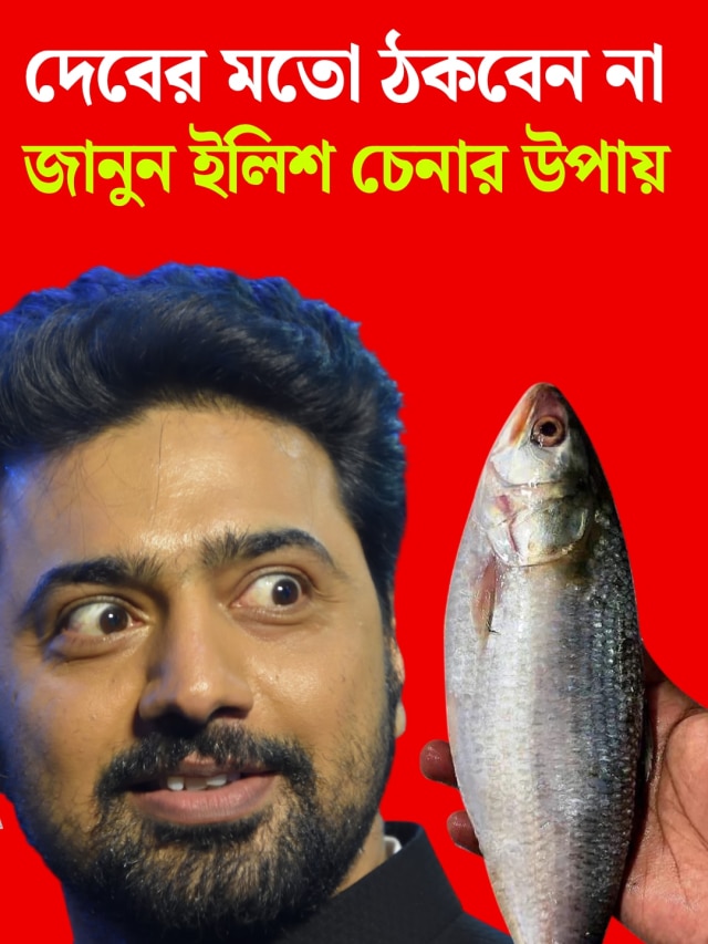 ইলিশ বলে চন্দনা খাবেন না, খাঁটি চেনার নিনজা টেকনিক